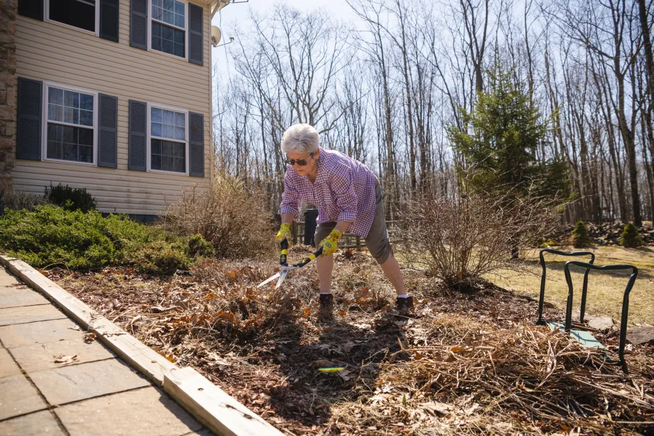 A silver-haired woman wearing yellow gloves and sunglasses uses garden shears to cut back perennial plants in a home flower bed in early spring.