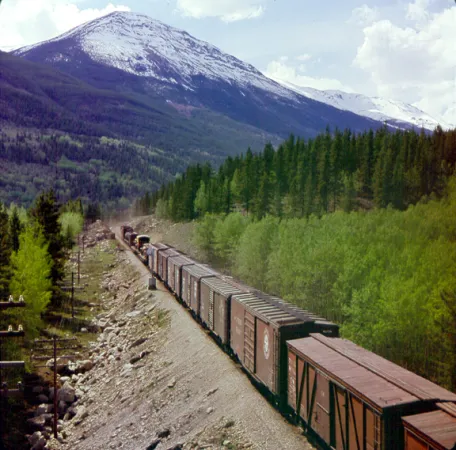 Image is a colour photograph showing a freight train moving through a wooded valley with a mountain in the distance. 