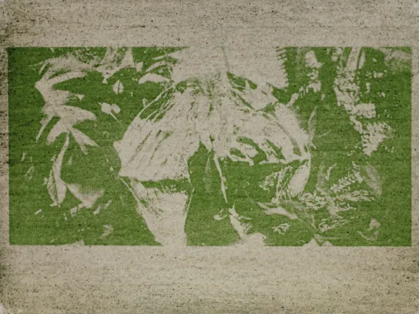 Image abstraite d'un artiste en vert et blanc.