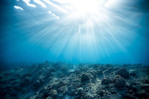 A rocky ocean floor with the sun shining through the water above.