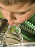 child drinking from a watering hole