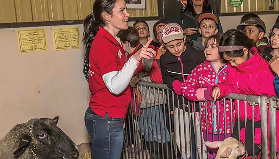 A museum employee wearing a red shirt stands in a barn next to a large sheep. A large group of schoolchildren are listening to her speak as they lean on the metal fence around the sheep’s pen.
