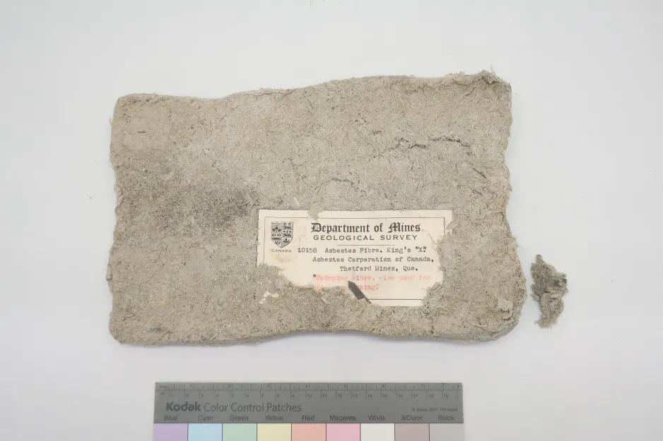 An asbestos sheet sample, which is rectangular, grey, and fuzzy. There is a label embedded into the asbestos sheet reading” Department of Mines/Geological Survey/10158 Asbestos Fibre. King’s “X.”/Asbestos Corporation of Canada,/ Thetford Mines, Que/ Spinning fibre, also used for _____ Making.” 