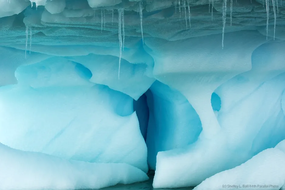 Sculpted by winds and waves, the shapes and colours of icebergs was incredible, producing wonderful pieces of art.