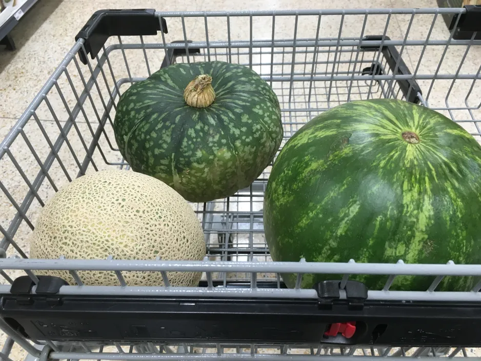 A shopping cart with a watermelon, a cantaloupe, and a gourd 