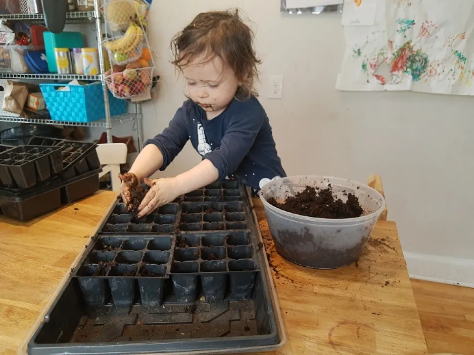 Child puts soil in tray
