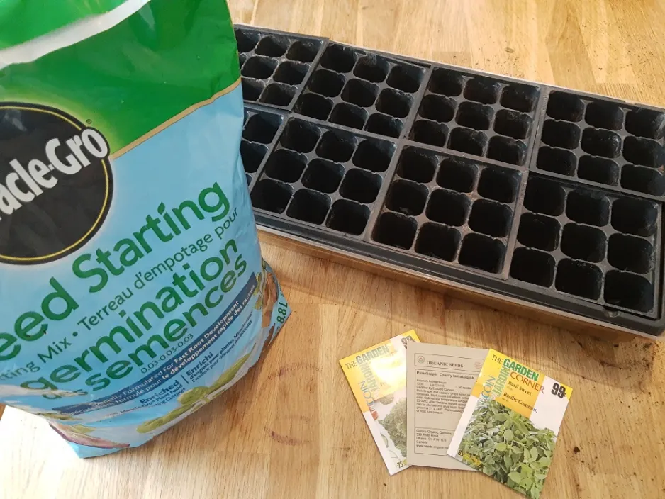potting soil, seeds and a tray