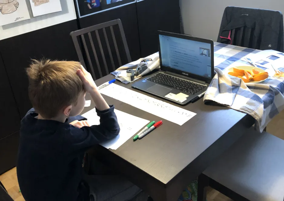 A boy, his back to the camera, is seating at a dining table in front of a laptop, taking part in an online testing session.