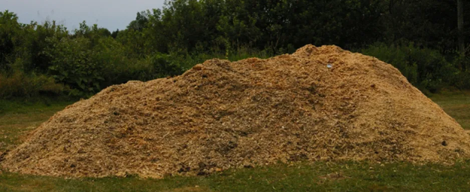 A large pile of wood shavings and sawdust sit in a grassy field. Trees are visible in the background.