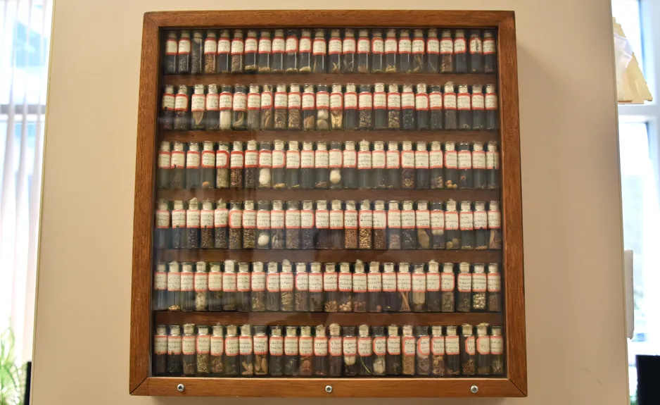 A square, wooden shelf is mounted on a wall. Inside the display case are rows and rows of tiny, labelled vials of seeds. An office computer and a plant can be seen in the background. 