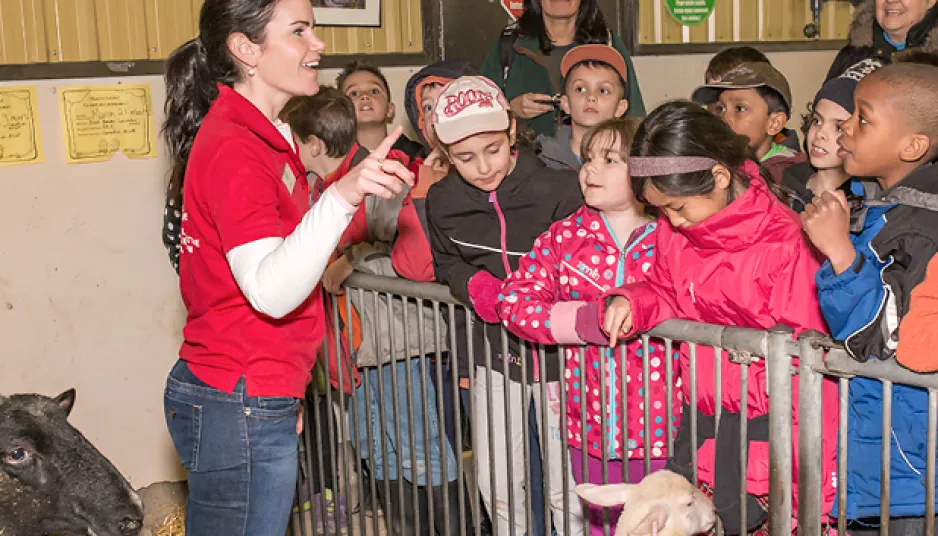 A museum employee wearing a red shirt stands in a barn next to a large sheep. A large group of schoolchildren are listening to her speak as they lean on the metal fence around the sheep’s pen.
