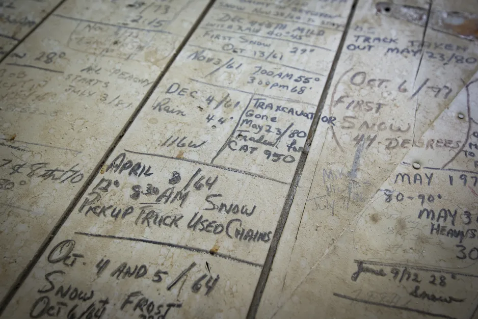 Gros plan d’une multitude d’inscriptions manuscrites sur une surface de bois pâli. 