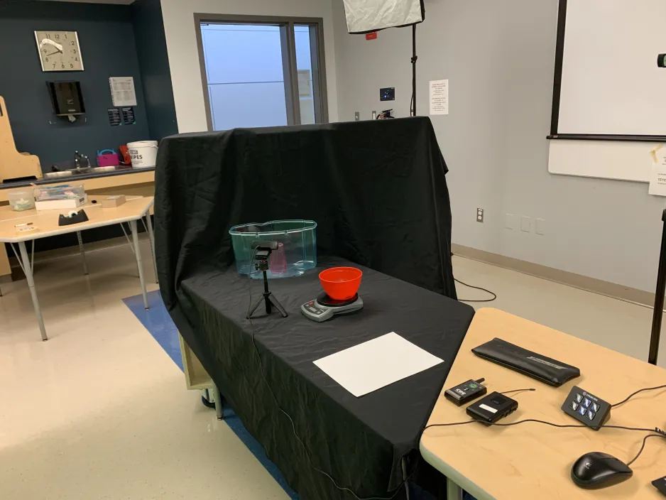 In a classroom, a small aquarium and a scale sit on a table covered with a black tablecloth.