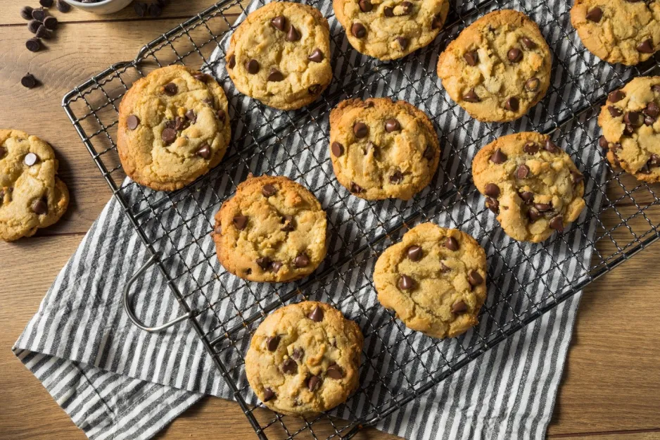 Chocolate chip cookies on a cooling rack resting on a counter covered by a dishcloth.