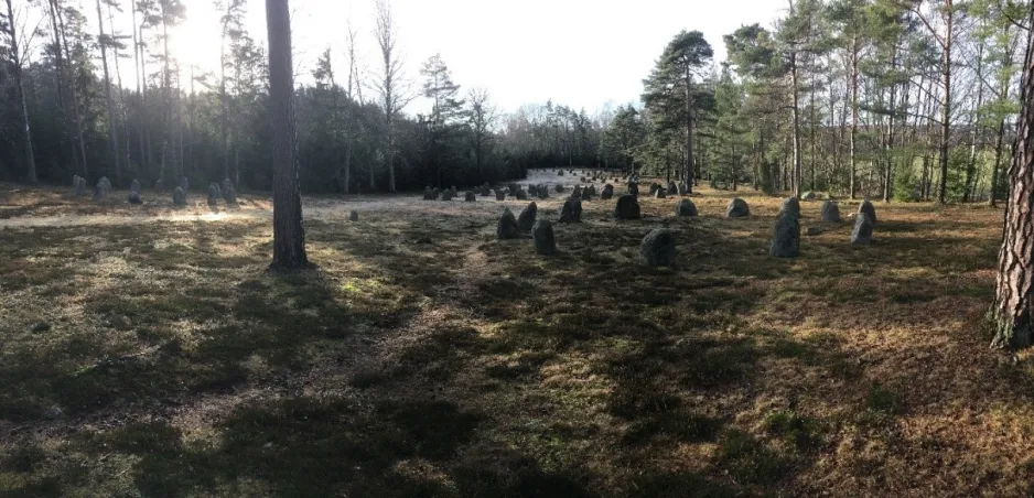 Image de cercles de pierres traditionnels dans une zone boisée en Norvège, avec la lumière du soleil qui brille à travers les arbres.