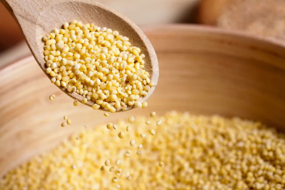 A wooden spoon full of small light-yellow grains, pouring out into a larger bowl of grains, seen in the background.