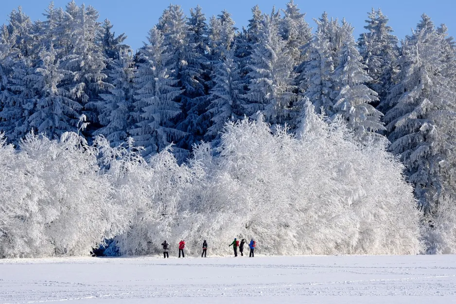 Six individuals enjoying a winter hike on a frozen lake, surrounded by a pristine, snowy landscape. A frost-covered forest provides a picturesque backdrop, enhancing the serene and wintery atmosphere.