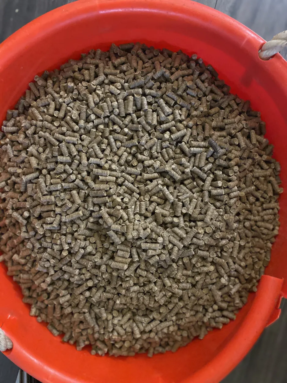 A top view into a red bucket containing thousands of light-brown, rod-shaped pellets.