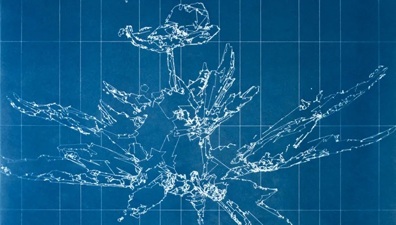 Représentation artistique d'une plante blanche sur fond bleu vif.