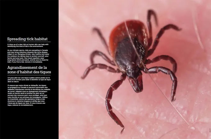 An engorged tick can be seen in a close up shot of white skin. To the left of the image is a black strip with the title “Spreading tick habitat” above some text.