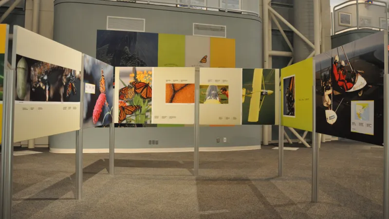 Six exhibition panels are arranged in a U-shape. Photographs of butterflies and planes are depicted on the panels.