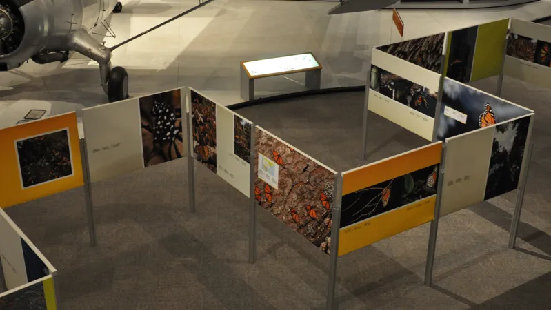 A slightly elevated view of the exhibition shows the panels arranged in a zig-zag formation.