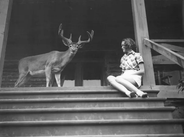 Girl near deer
