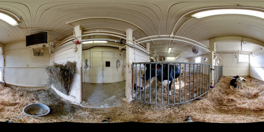 Image of inside the dairy barn at the Canada Agriculture and Food Museum