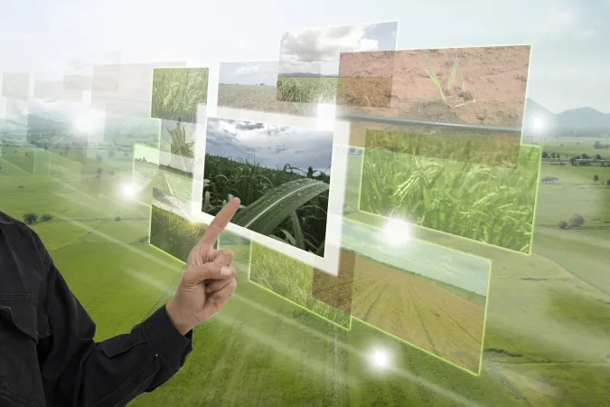A number of images of plants are superimposed over an aerial view of a farmer's field. 