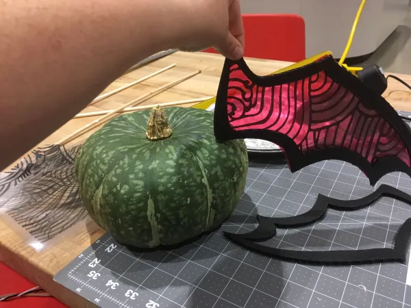 A cardboard and plastic bat wing held up to a gourd