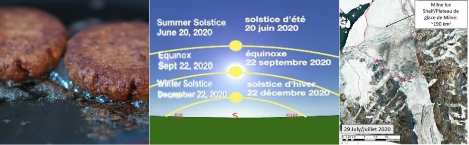 Un gros plan de galettes de burger, un diagramme du soleil pendant les solstices et les équinoxes, et une image satellite de la plateforme de glace Milne