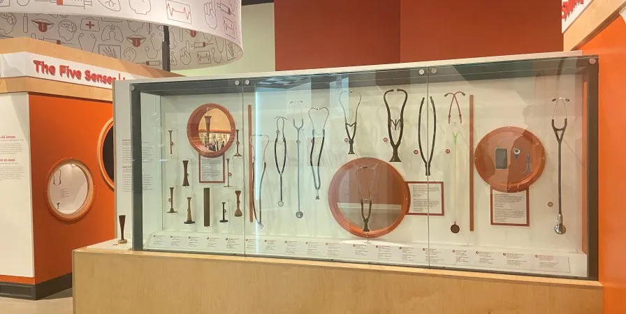 Stéthoscopes présentés dans l’exposition permanente Les sens et la médecine, au Musée des sciences et de la technologie du Canada.