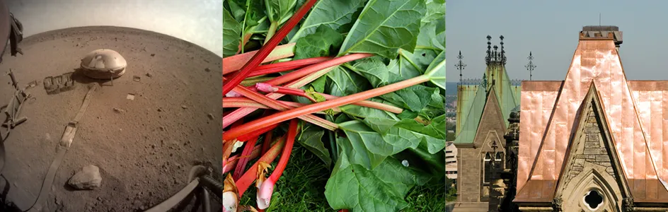Spliced image, from left to right: a seismometer on mars, a heap of red rhubarb stalks with green leaves, a copper roof of the Canaian Parliament 