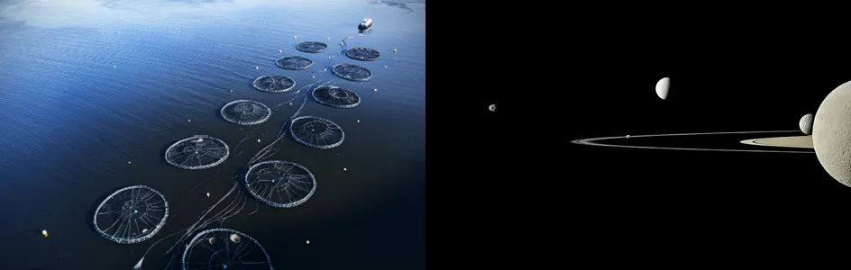 Two images, spliced. On the left: Aerial photograph of two rows of six large circular nets floating on water and attached by ropes to a boat. On the right: The rings of Saturn slice horizontally, almost edge-on, through the middle of the image. A variety of Saturnian moons of varying apparent sizes are in the image ranging from very small, background moons to larger and closer moons.