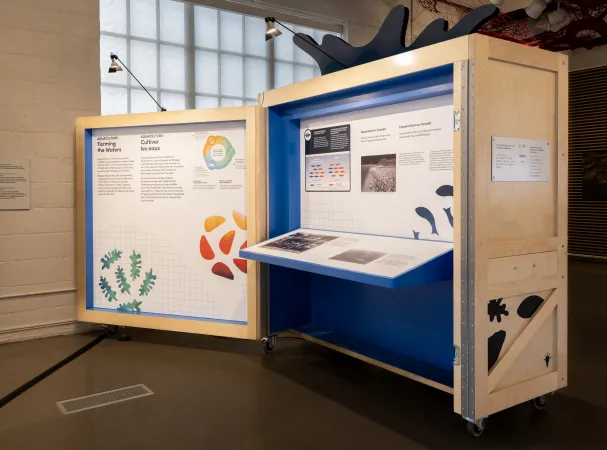 An exhibition station with wood tones and blue and white panels is viewed from the side. On the graphic panels, there are photos, diagrams, and texts.