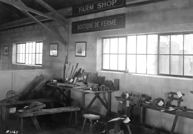 An image showing an exhibit in the Agriculture Museum on the Central Experimental Farm in the 1930s. The exhibit shows tools commonly found on a farm.
