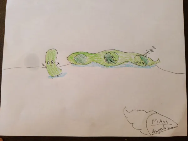 A coloured children's drawing of soybean characters in and out of a bean pod.