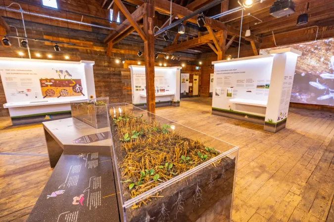 Une vue grand-angle d’une galerie rustique en bois montre plusieurs modules d’exposition, dont un diorama du sol et une culture agricole en avant-plan.