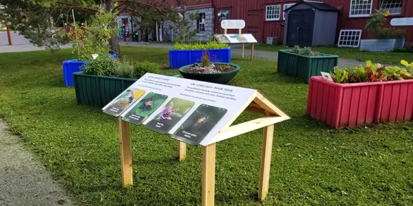 Un espace vert avec des jardinières colorées à l'arrière-plan et un rail de lecteurs avec des photos d'insectes à l'avant.