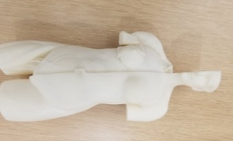 Modèle anatomique 3D