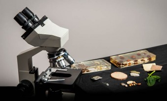 un microscope numérique