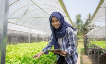 A young female farmer on a hydroponic farm inspecting a lettuce crop.