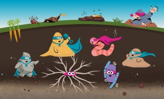 A colourful illustration depicts a cutaway shot of a soil column, with a group of soil superhero cartoon characters both above and below the Earth’s surface. The superheroes are wearing capes and eye bandanas, and are fashioned to represent sand, silt, and clay soil particles, an earthworm, a mole, fungus, bacteria, poop, a leaf and a dead bug.