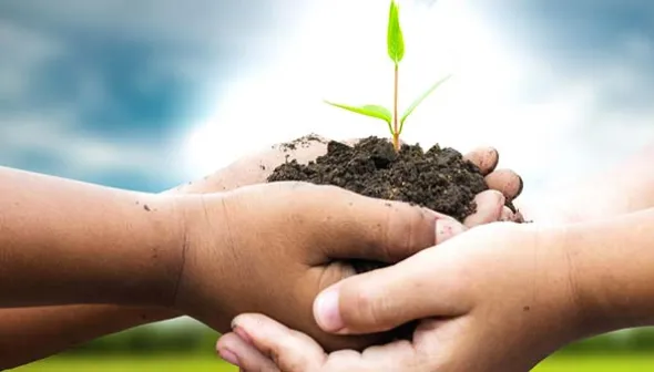 Hands holding soil with a small growing plant