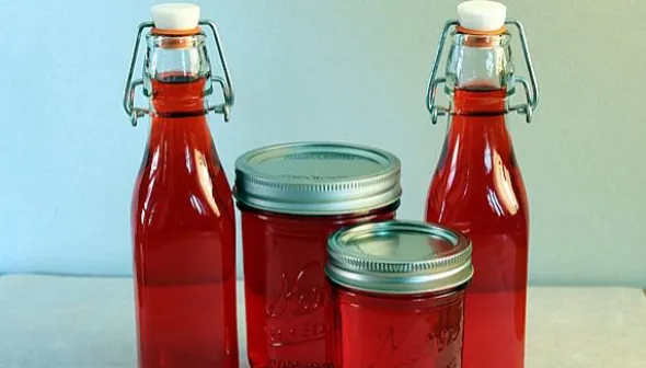glass bottles and mason jars filled with raspberry vinegar