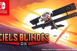 Illustration d'un biplan, logo Nintendo Switch™ et du texte sur l'image : Ciels Blindés DX 