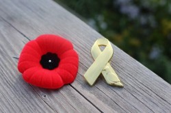 Two Remembrance Day pins sit side-by-side on a wooden surface: A red poppy pin sits next to a gold ribbon-shaped pin that features an emblem of a pigeon.