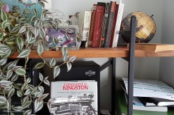 Cadrage serré d’une étagère de bibliothèque encombrée d’une plante, de photographies, d’un haut-parleur, avec quelques livres visibles sur d’autres étagères de ce meuble. 