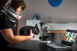 A woman wearing an astronaut’s helmet holds a rabbit up to the camera of a laptop, which is open in front of her. Children’s faces are visible on the laptop screen via videoconferencing.