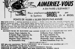 A typical advertisement of Canadian Frog’s Industries Company of Montréal, Québec. Anon., “Canadian Frog’s Industries Company.” La Patrie, 16 November 1952, 86.